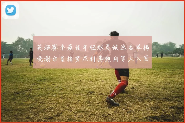 英超赛季最佳年轻球员候选名单揭晓谢尔基梅努尼科奥赖利等人入围