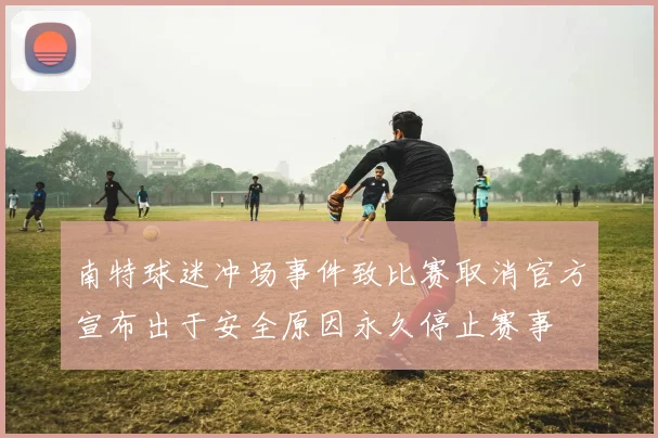 南特球迷冲场事件致比赛取消官方宣布出于安全原因永久停止赛事